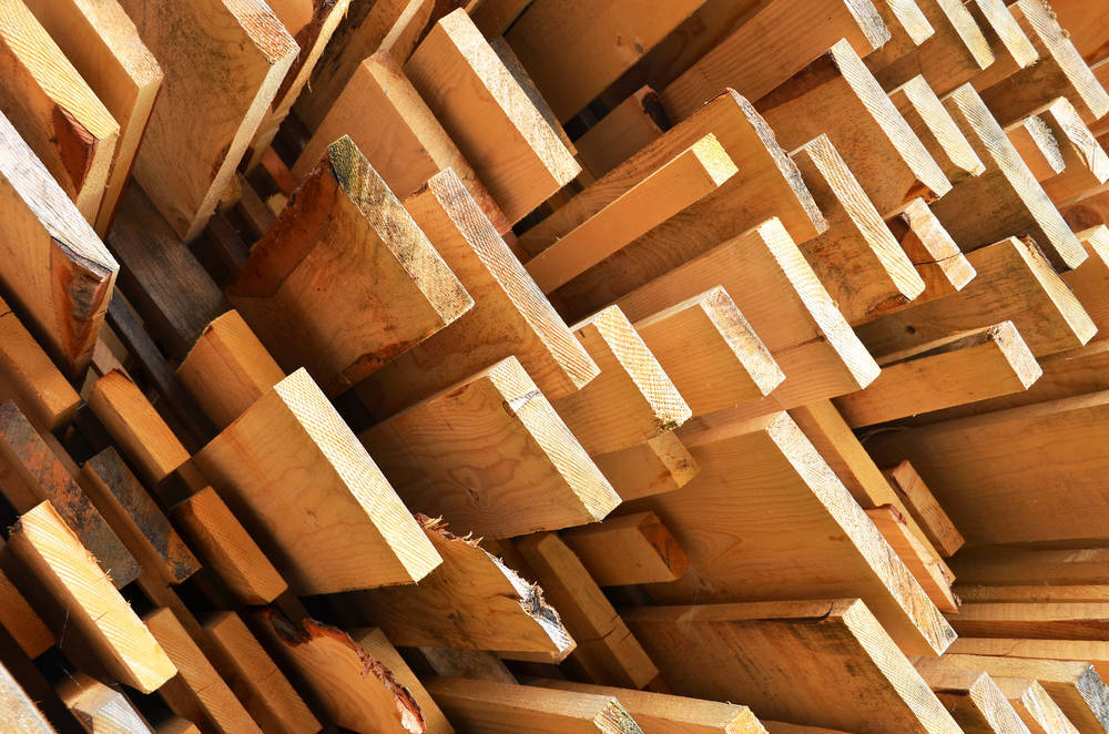 El sector de la madera en pleno auge