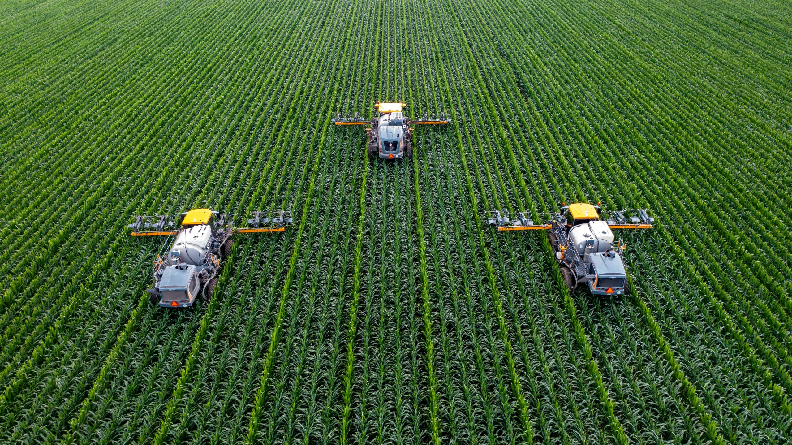 La transformación en la producción agrícola española
